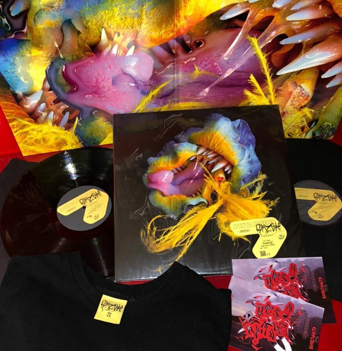 Resonance | Nikita Zabelin - Rhizome VINYL 